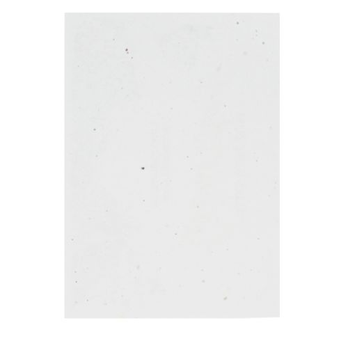 Seedpaper unprinted A3 200gsm - Image 2